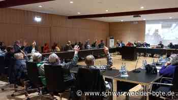 Versammlung in Calw: Bürgerinitiative erhebt Vorwürfe in der Klinik-Debatte