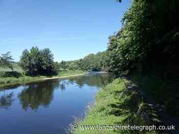 River Ribble wetlands plan to soak up Clitheroe flooding
