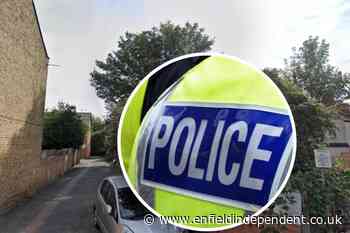 Woman arrested after man stabbed to death in Enfield