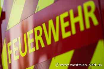 Erneut Feuer auf Paderborner Westfriedhof