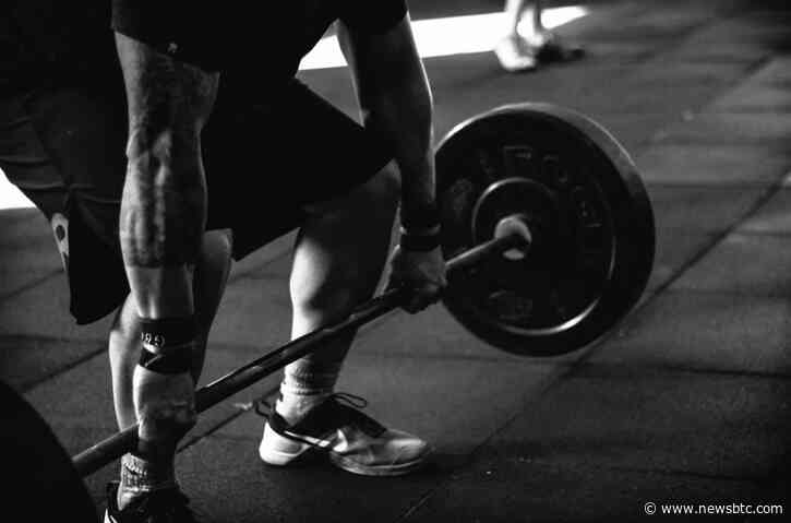 FLOKI Grows Over 300% As Memecoin Breaches $400 Million TVL – Details