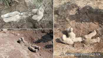 We'll never forget you: Harrowing photos reveal how elephants mourn and bury their dead calves - just like humans, study reveals