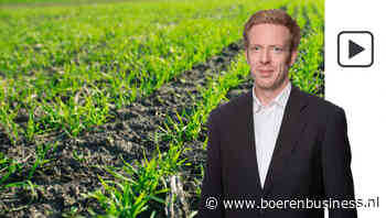 Tarwe zit in de hoek waar de klappen vallen