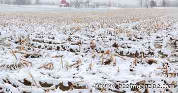 El Nino impact through the rest of winter