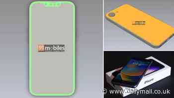 Is this the next iPhone SE? Leaked images claim to show Apple's next budget smartphone - including some huge upgrades