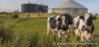 Eko-Holland verhoogt licht in stabiele markt