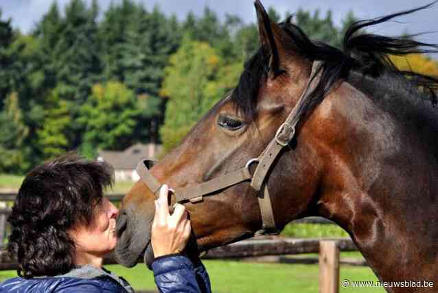 Wagen dierenarts getakeld omdat elektronisch rijbewijs verlopen is: “Ik wil andere chauffeurs verwittigen voor de zware gevolgen”