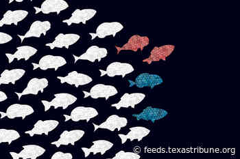 A fraction of Texans will vote in Tuesday’s primary. They’ll decide who runs the state.