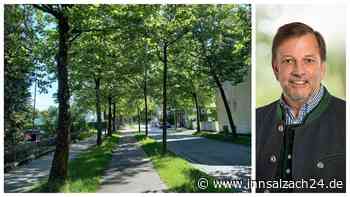 Nach Kritik am (angeblichen) Nichtstun: Gibt es doch mehr Umweltschutz in Waldkraiburg?