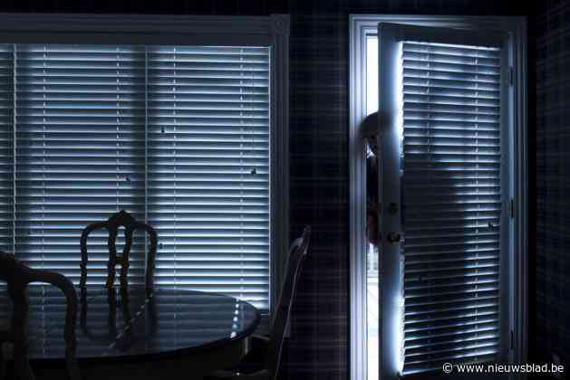 Inbrekers schrikken op van luid alarm en vluchten weg