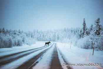 Laura en Lennart vertellen in bibliotheek Couwelaar over trektocht in Lapland