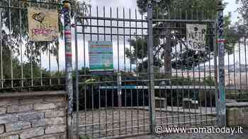 Monte Mario, dopo il taglio di 400 pini riaperto il parco: ora vanno sostituiti gli alberi abbattuti