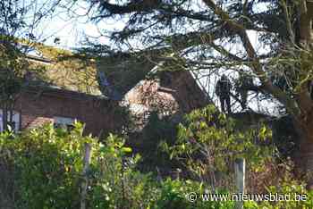 Bewoonster laat brandweer uitrukken… voor verdampte regen