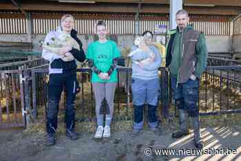 “Struiken en hagen bieden niets dan voordelen, en ze zijn nog mooi ook”: zorgboer Dieter (47) werkt mee aan onderzoek naar koolstoflandbouw