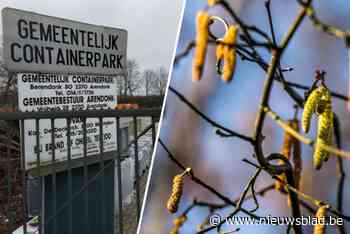Niet vergeten: woensdag ligt je gratis hazelaar klaar in je containerpark, afval afzetten is niet mogelijk
