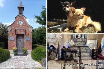 Rouwkapelletje krijgt ongewenst bezoek: onbekenden aan de haal met… urnes van hondjes