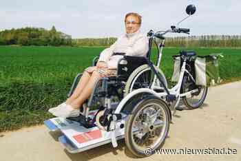 Van kwebbelbanken tot een rolstoelfiets: Stekene Boezjeert gaat door