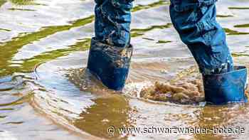„Keine Bewegungsfreiheit“: Gesetze und Umlagen setzen Wildbergs Finanzen zu