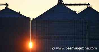 Grain dust explosions unchanged in 2023