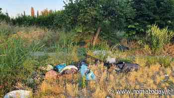 Villaggio Prenestino, i residenti lanciano l'appello per rigenerare due parchi del quartiere