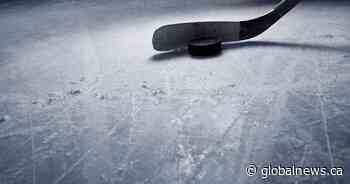 Hockey billet parent in Ontario faces sex-related charges involving youth: report