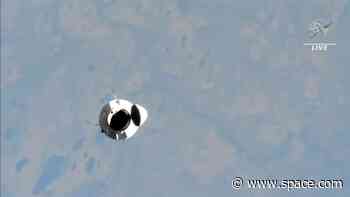 Watch SpaceX's Crew-8 astronaut mission arrive at the ISS early March 5 (free livestream)