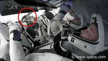 Crew-8's adorable 'family dog' plushie is SpaceX's latest zero-g indicator