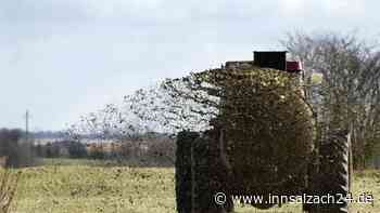 Tragisches Unglück in Norddeutschland: Bub (6) fällt auf Bauernhof in Güllegrube und stirbt