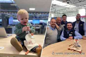 Knuffelvosje terug bij Odil  na oproep van Cardoen: “Hij is zot van knuffels”