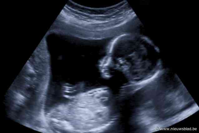 Leuvense wetenschappers creëren ‘mini-longen’ uit vruchtwatercellen die succes van  longoperatie bij foetussen kunnen voorspellen