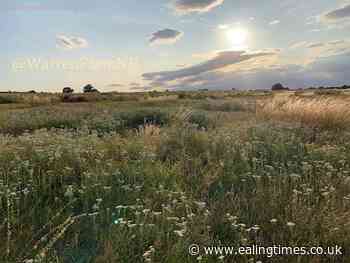 Warren Farm saved as nature reserve after council re-think