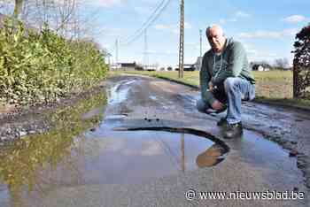 Buren klagen “lamentabele” staat van Bosweg aan: “Het wordt almaar slechter”