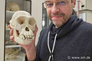 Wie funktioniert Evolution?