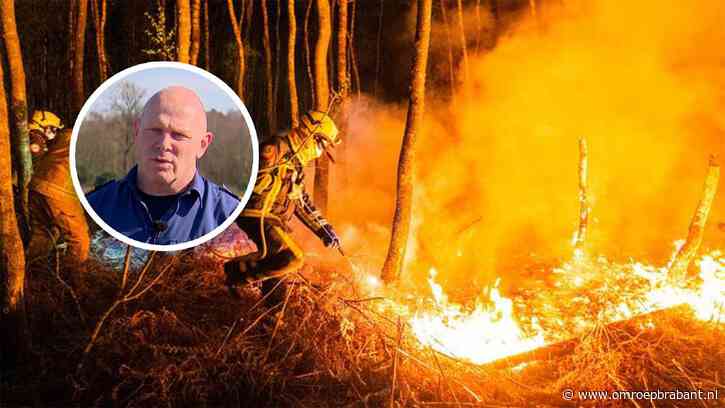 Brabant is zeer brandbaar, nu al kans op bosbranden: ‘Wachten op doden’