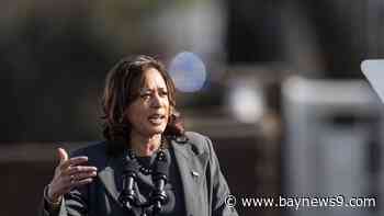 VP Harris calls for ‘immediate’ pause in fighting in Gaza