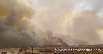 Loss, damage ‘catastrophic’ in Texas as fire crews make progress