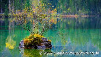 Der wärmste See Deutschlands liegt in Bayern – und stellt gleich doppelten Rekord auf