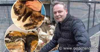 Steun uit hele land na dumping van bijna 200 verwaarloosde dieren: ‘Dit hebben we nog nooit meegemaakt’