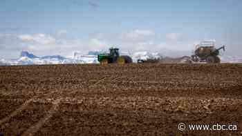 Alberta outlines $125M drought and flood grant program as water-sharing talks continue