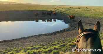 Alberta outlines 5-year $125M plan to protect communities from drought, floods