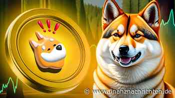 Bonk explodiert auf Allzeithoch: Überholt BONK jetzt PEPE?