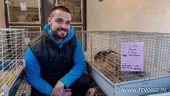 Mijt, mager en kale plekken: dit zijn de gedumpte dieren bij Zwolse dierenopvang