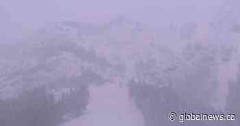 Alberta man killed in avalanche near Revelstoke, B.C.