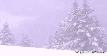 Alberta man killed in avalanche near Revelstoke, B.C.