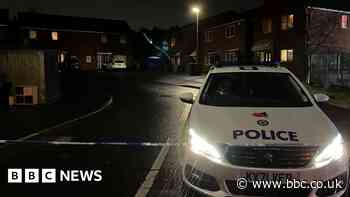 Murder investigation after girl, 10, dies