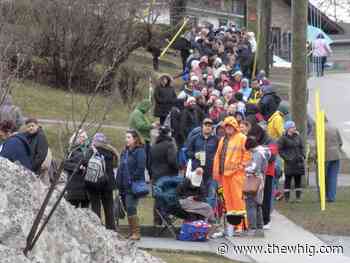 Lineups outside Kingston clinic 'tip of the iceberg'