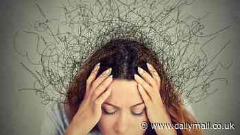 Do YOU social anxiety? Scientists find  the condition lives in your gut