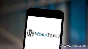 Best WordPress Hosting of 2024     - CNET