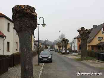 Camburg hat jetzt eine „Allee voller Zahnstocher“