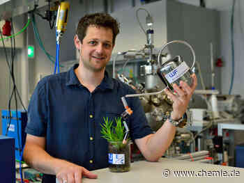 Pflanzen mit Strom füttern